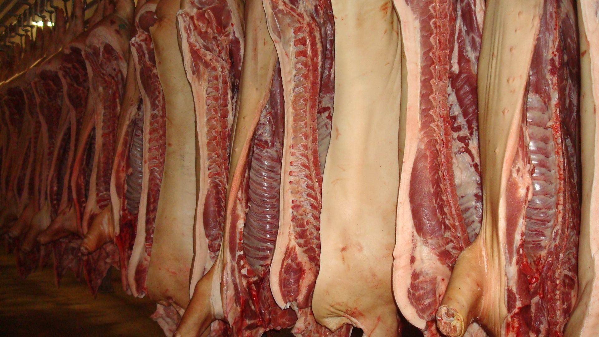 фото мяса свинины