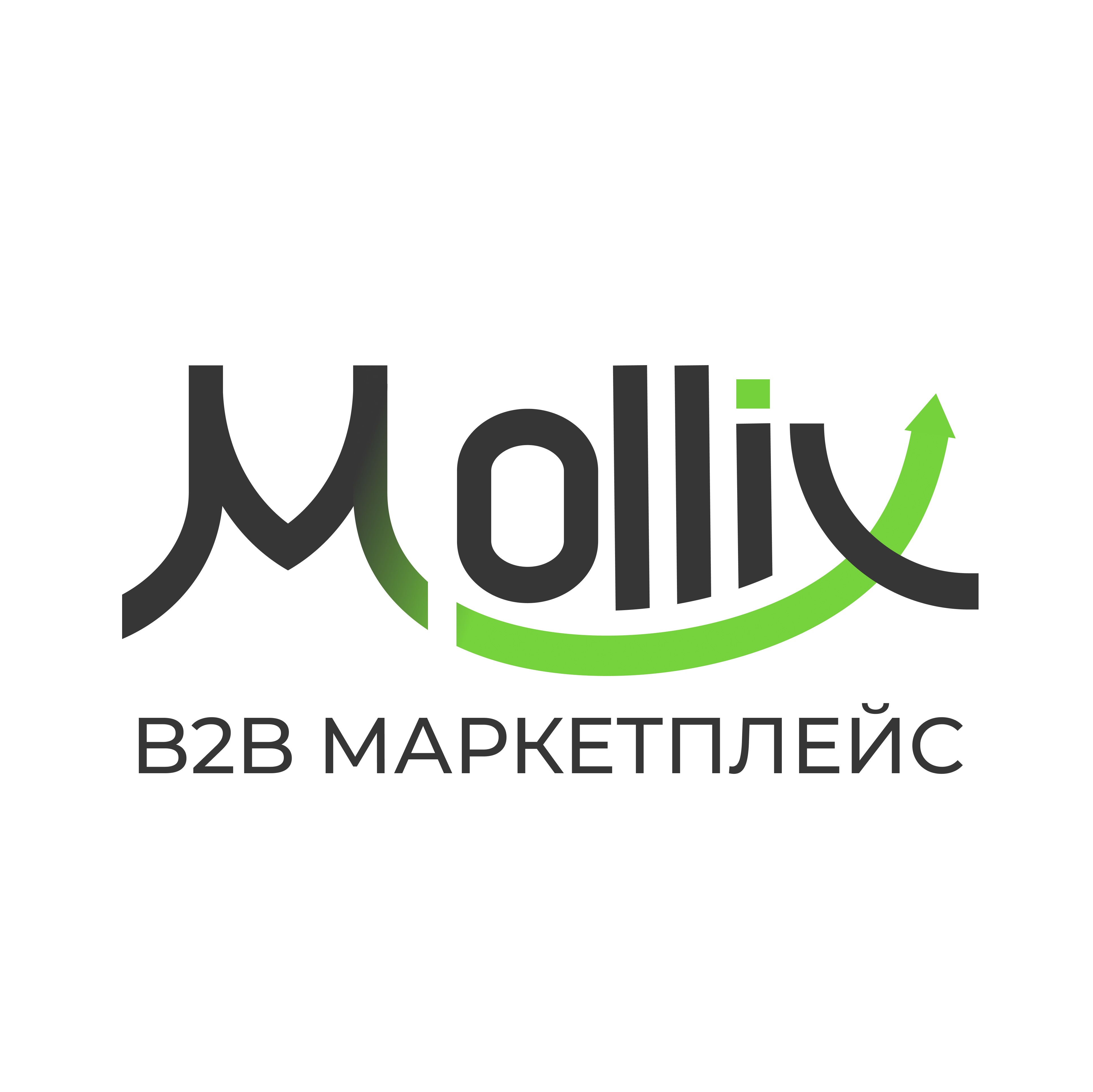 mollix ru-ooo-berlion-odezhda-aksessuaryi-i-teksti